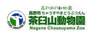 茶臼山動物園